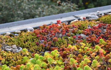 the cost of North Motherwell green roof installation