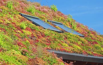 North Motherwell living roof systems