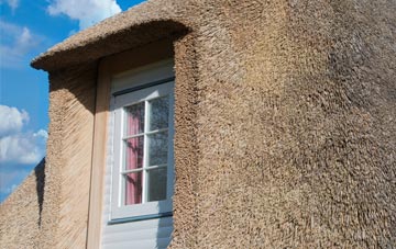North Motherwell thatch roof disadvantages